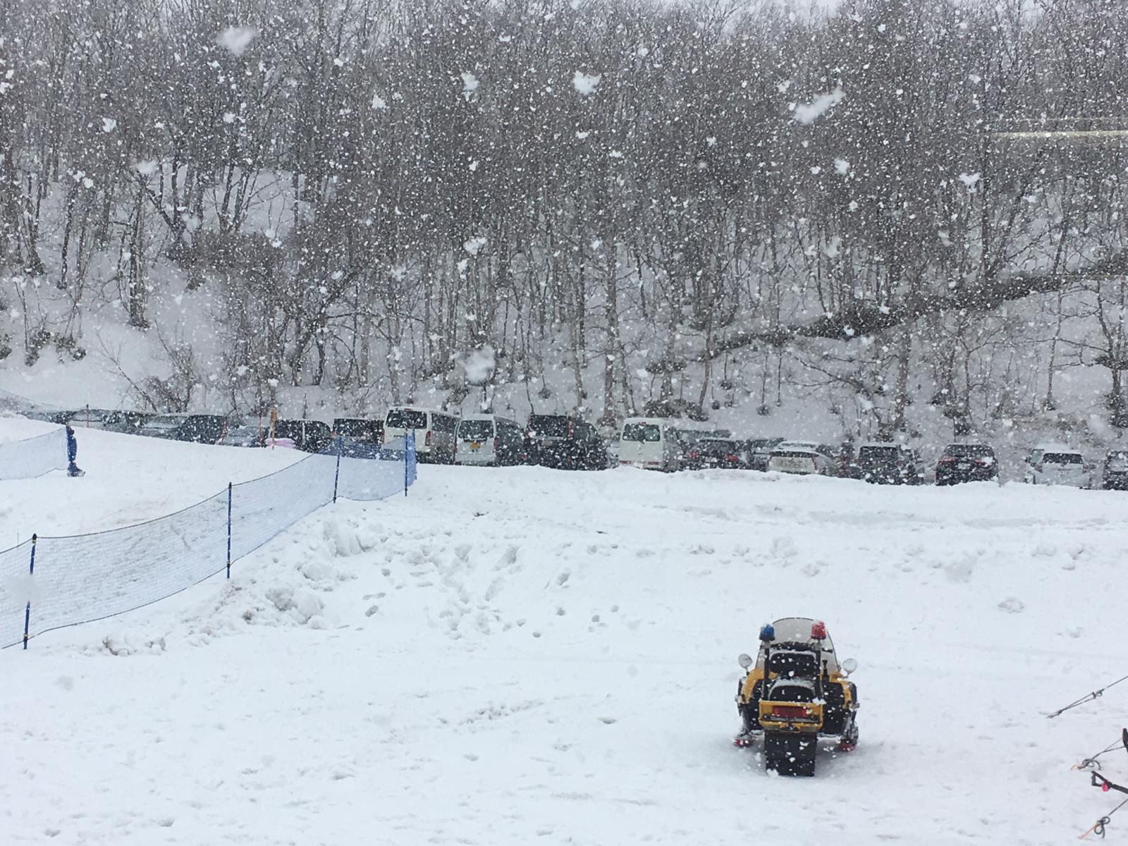 WhatsApp Image 2019 03 14 at 10.11.33